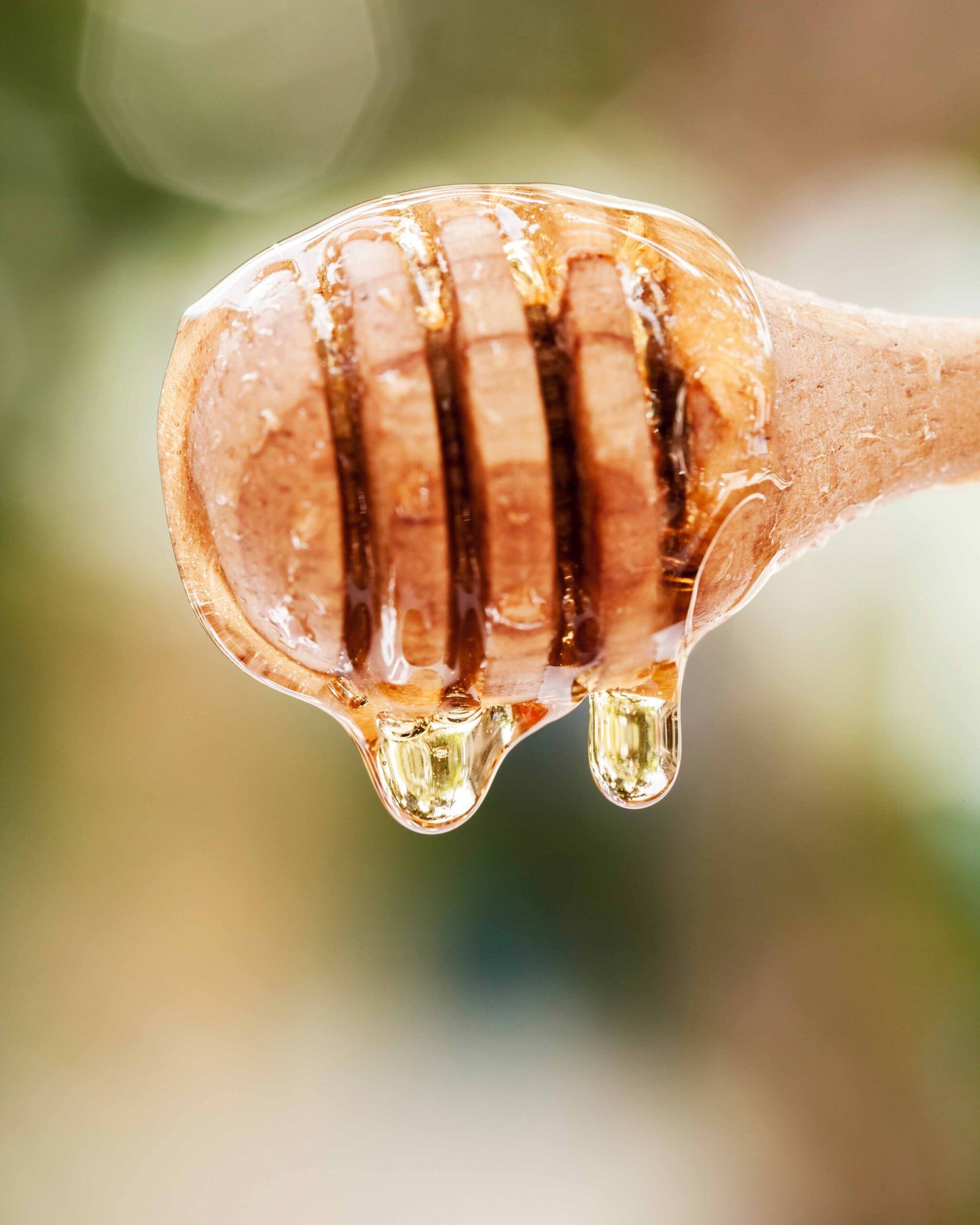 close up honey dripping from dipper
